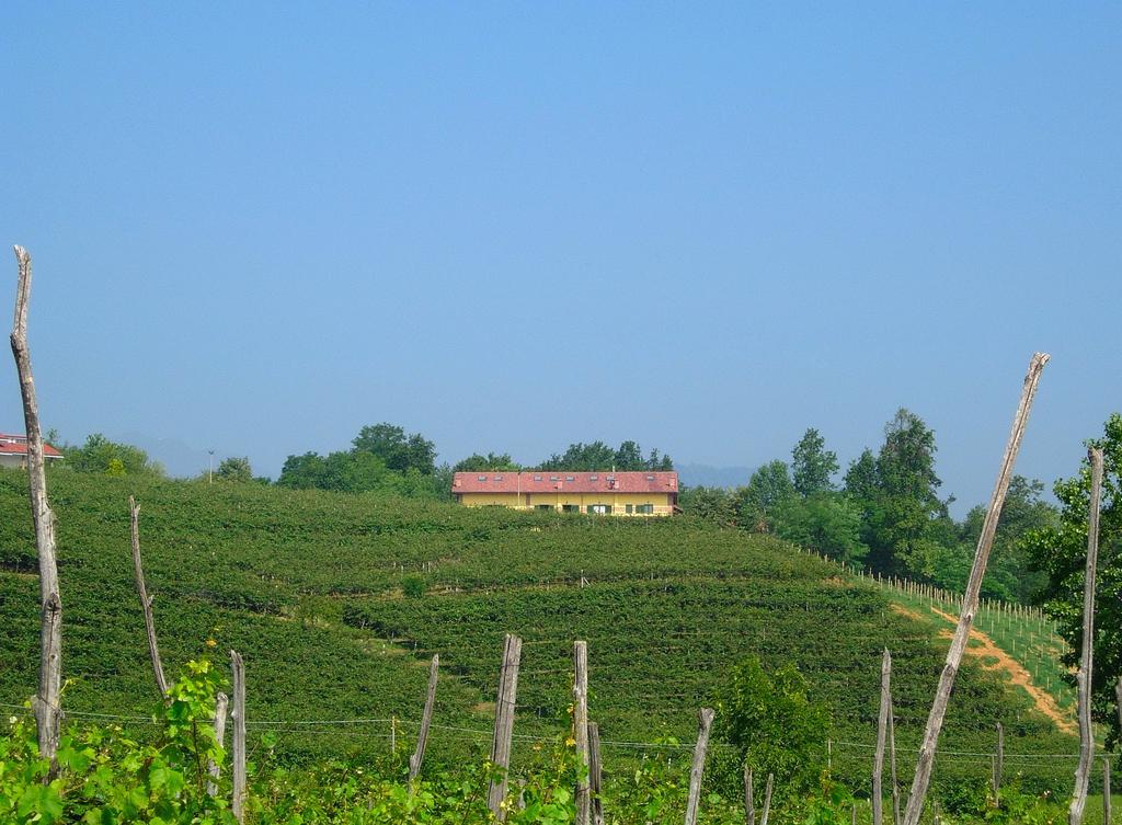 Agriturismo Turina Bricherasio Екстериор снимка