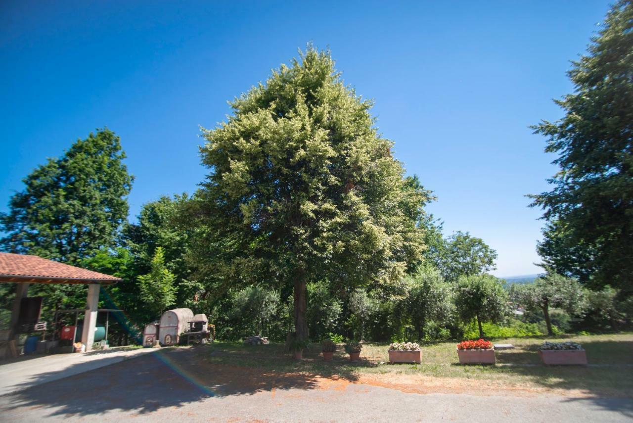 Agriturismo Turina Bricherasio Екстериор снимка